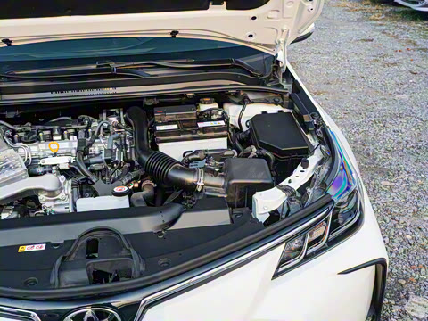 2025�� 1.2T ��Ӣ��