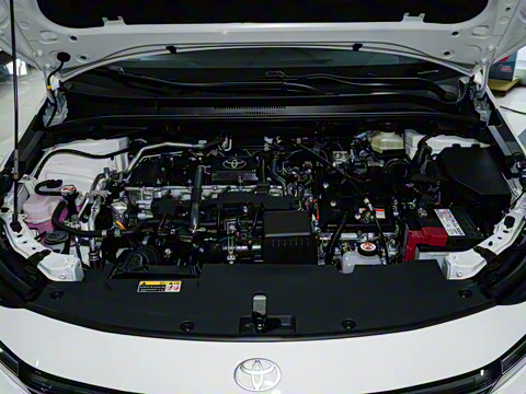 2026�� 1.8L ˫�� �ȷ��