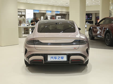 2026�� Max