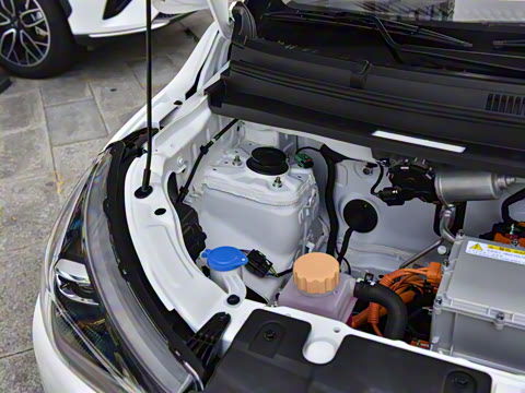 2026�� Mate 201km �����