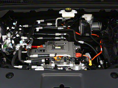 2025�� 520�ǻݳ��а�