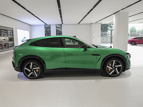 2025�� ������������Pro��