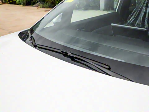 2026�� ��ƽ�� ������������