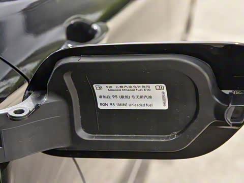 2025�� �Ŀ�� ������ 330TSI DSG������