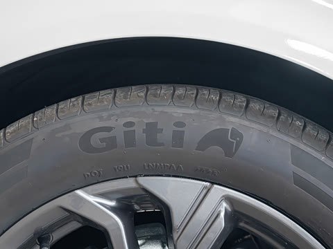 2026��  2.0T  EcoBoost  ������