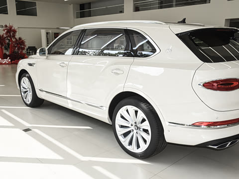 2026�� 4.0T V8 ������ŶȰ�