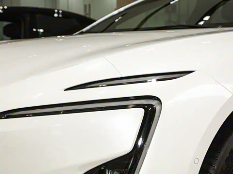 2026�� Max ���̰�