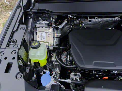 2026�� 1.5T ��Ȥ��