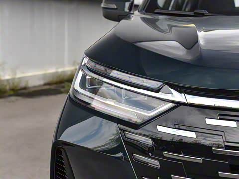 2025�� 290T ��������+