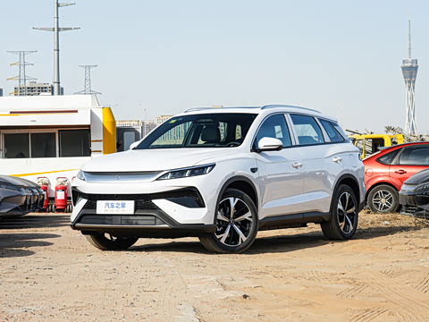 2026�� DM-i 220KM��Խ��