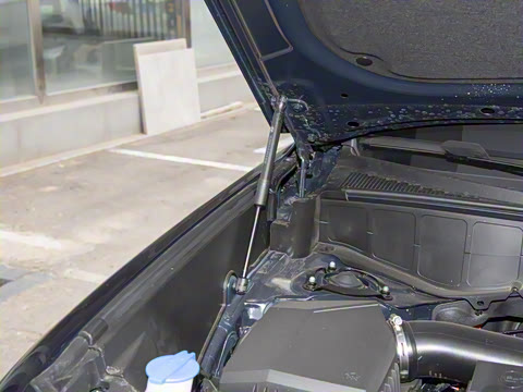 2026�� 2.5T Calligraphy ���ͼ� 6��