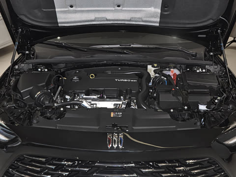 2025�� 25T ������
