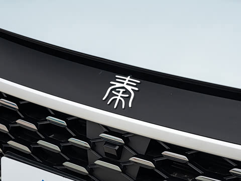 2026�� DM-i 128KM��ȡ��