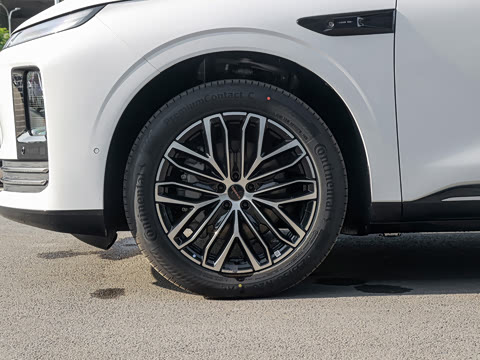 2026�� ���� ����Max��