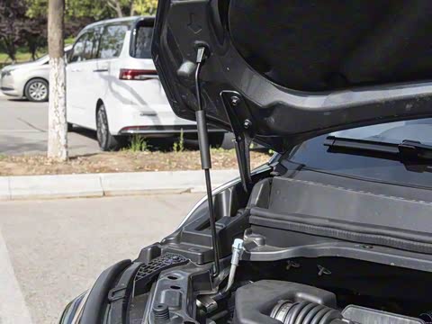 2026�� ���̰� 230�콢�� 7��