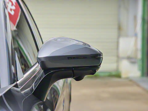 2025�� 260����������