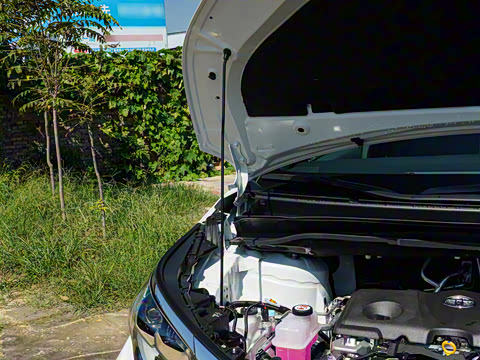 2026�� 2.5L�춯 ���ʰ�