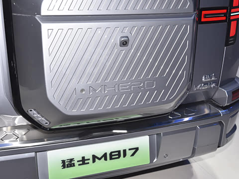 2025�� Max