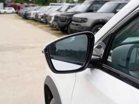 2025�� ������ 5��