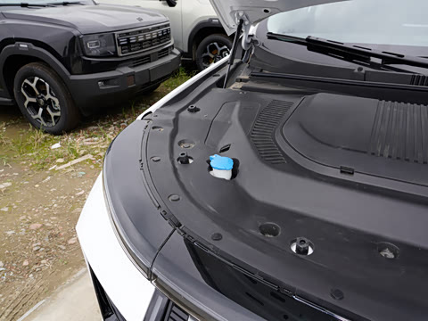 2025�� ������ 5��