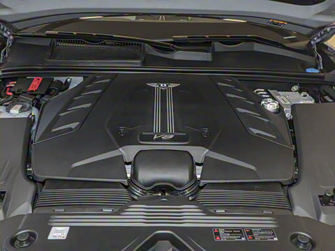 2024�� 4.0T V8 �ŶȰ�