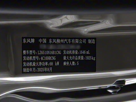 2025�� M5 1.6L ��׼��5��CNG