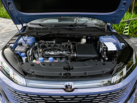 2026�� 1.5L �������� ������