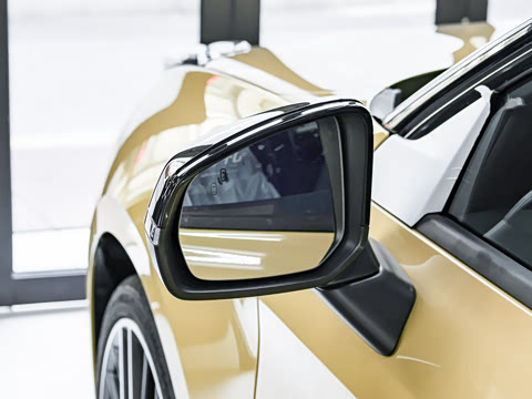 2025�� 2.0TD DCT�ھ���Pro