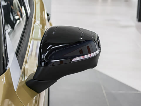 2025�� 2.0TD DCT�ھ���Pro