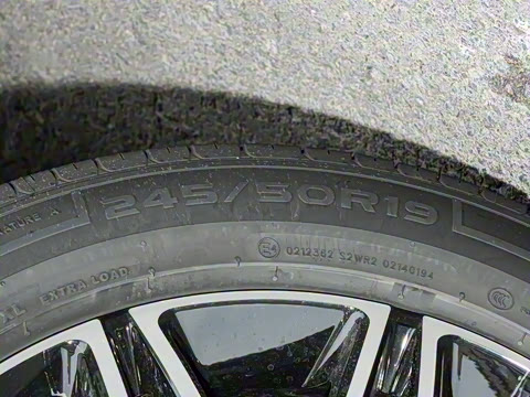 2025�� 260��������������