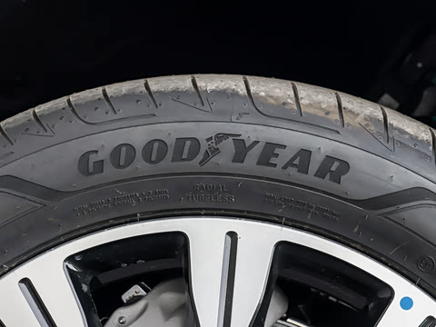 2026�� ���� ����������