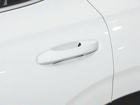 2026�� 280TSI �Զ����а�