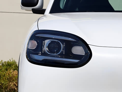 2026�� 310�Ȱ���
