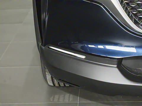 2025�� 2.0L �ֶ�������