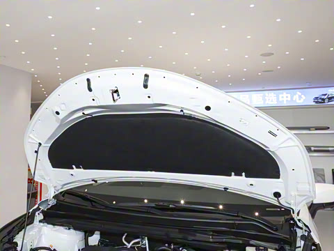 2026�� 2.5L ˫��������������