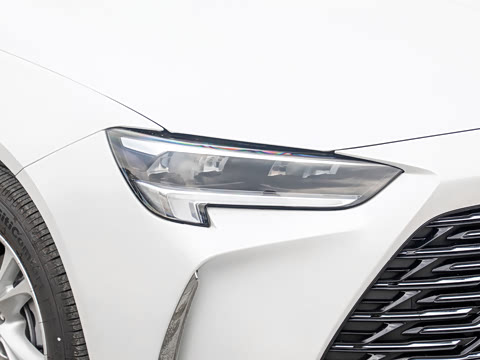 2025�� 25T ������