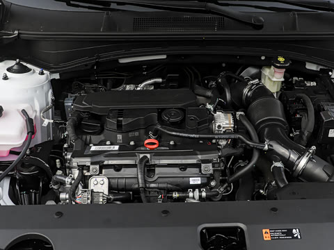 2026�� 1.5T �������ʰ�