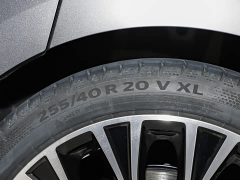 2025�� ������