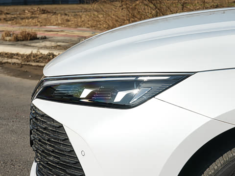 2026�� DM-i 170KM��Խ��