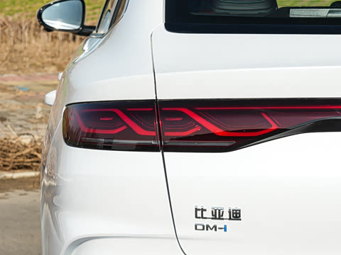 2026�� DM-i 170KM��Խ��