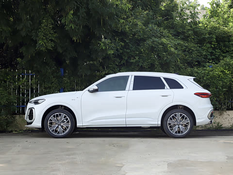 2026�� 2.0T �ǻ���ѡ��
