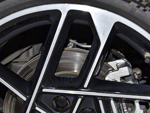 2025�� �������� Max �콢��