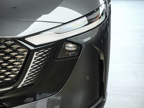 2026�� ����200 Pro�˶���