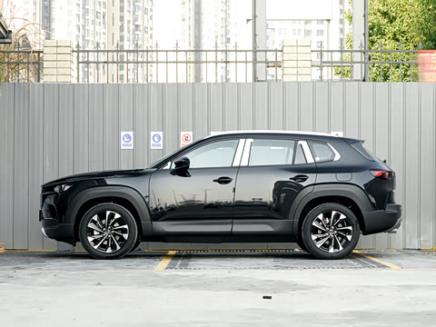 2026�� 2.5L ���а�