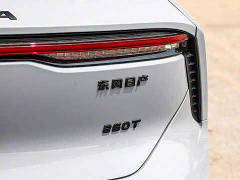 2026�� 260T ������ Pro