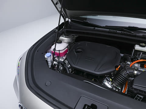 2026�� 125km̽��+��