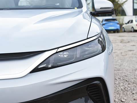 2026�� DM-i 220KM��Խ��