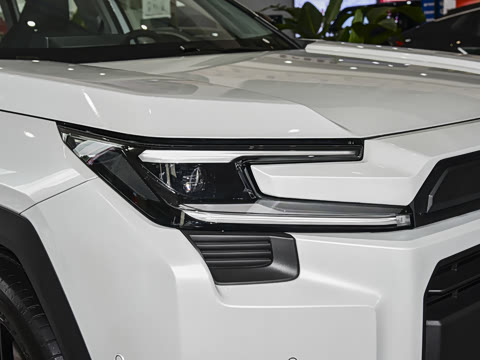 2026�� ˫�� 2.5L �����콢��