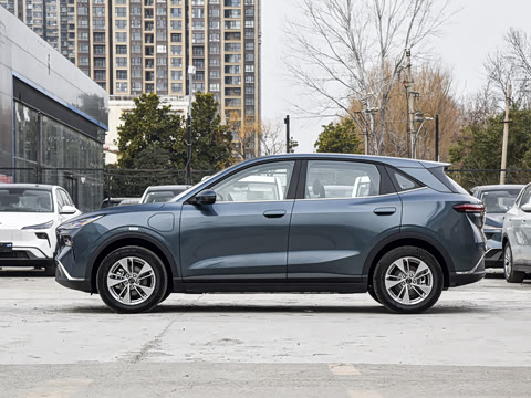 2025�� 445km ���ð�