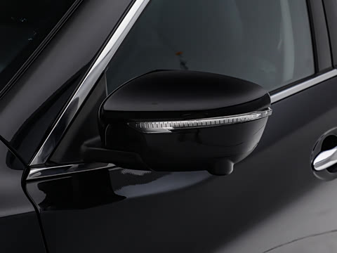 2025�� ���� 2.0L �������Ȱ�